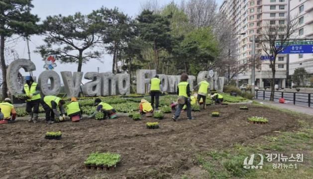 고양시 일산동구 ‘2025고양국제꽃박람회’맞이 꽃길 조성