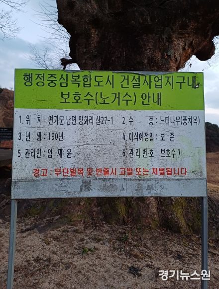 이순열 의장, ‘LH가 관리 중인 세종 보호수 및 천연기념물 상태 심각’이례적 비판