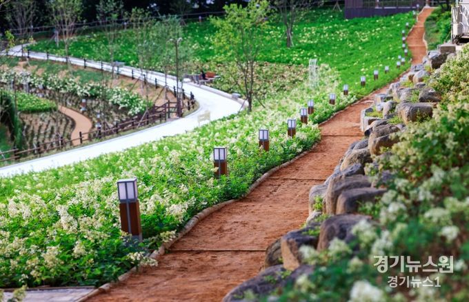 화순 남산공원 준공...도심 속 정원으로 재탄생 사계절 볼거리, 즐길거리 가득한 매력적인 공원