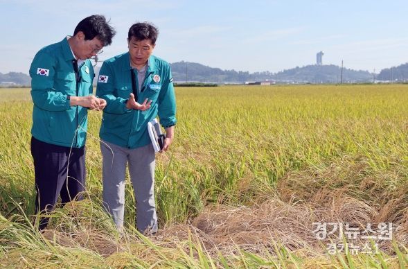 장흥군, 벼멸구 긴급 방제 예비비 5억 4천만원 투입