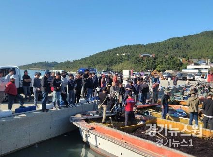 물김 경매 입찰 현장