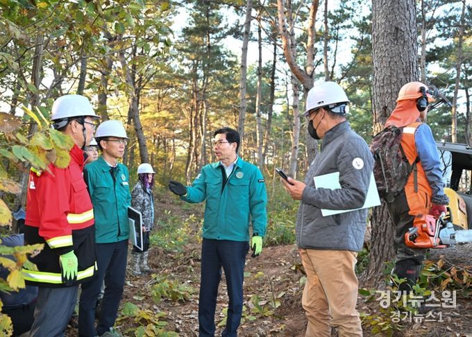 김광열 영덕군수, 소나무재선충병 방제 사업장 현장점검