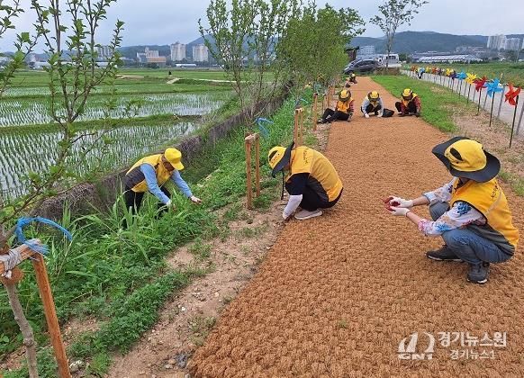 파주시 파주읍 파주실버경찰대봉사단, 갈곡천 산책로 환경정화 활동 '구슬땀'