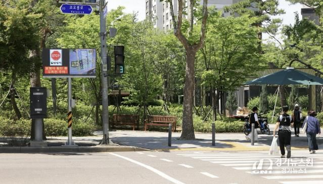 과천형 스마트 보행자안전시스템 (보행자 횡단 시).