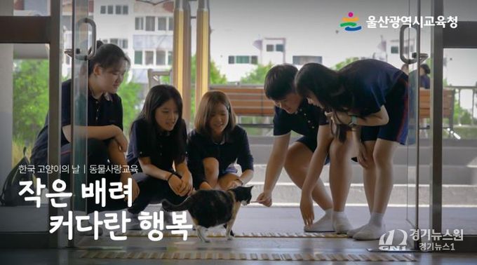 “길고양이 돌보며 함께 사는 법 배워요”