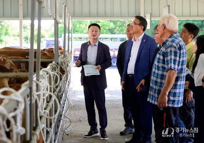 서귀포시 가축시장 방문한 오순문 시장