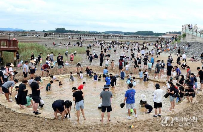 제11회 무안황토갯벌축제에서 진행한 장어잡기 체험
