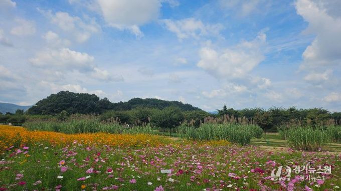 가을창포원 전경