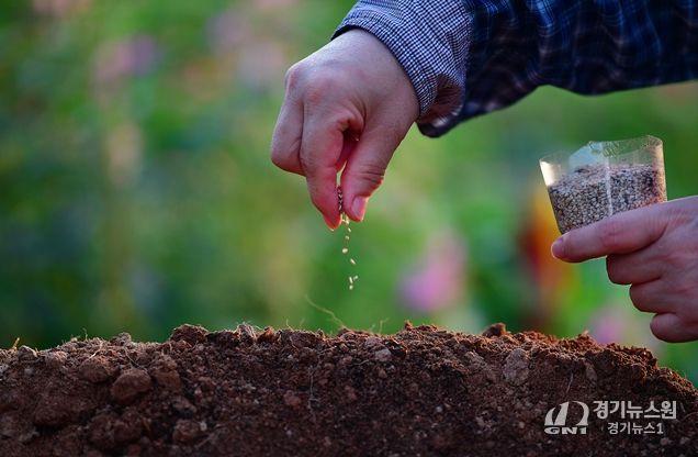 제1회 국립종자원 종자사진 공모전 수상작(대상(농식품부장관상) 수상자 : 강미자 작품명 : 참깨씨 뿌리기)