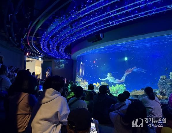 수원특례시 드림스타트 아동·가족이 아쿠아플라넷 관람을 하고 있다.