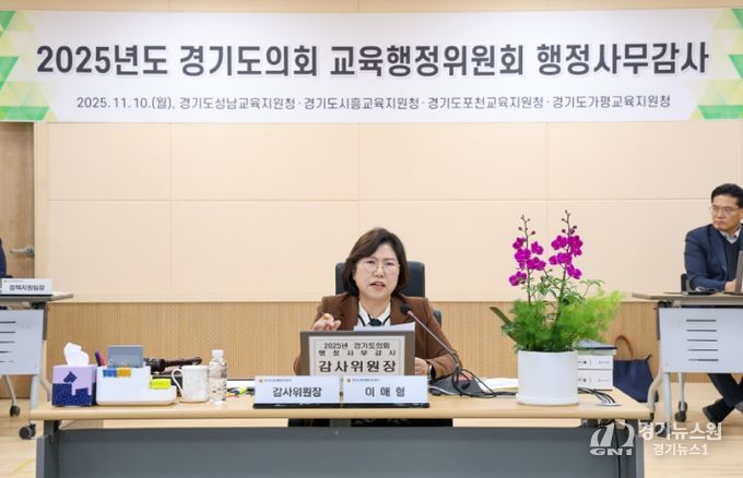 경기도의회 이애형 의원