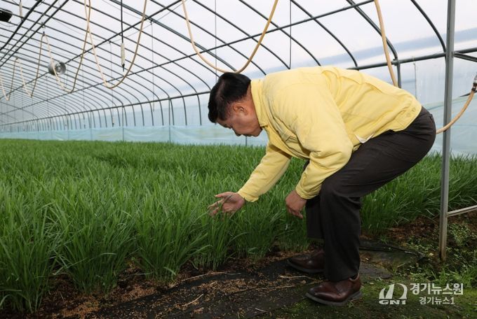고성군수, 부추재배 농가 현장 찾아 농업인 격려