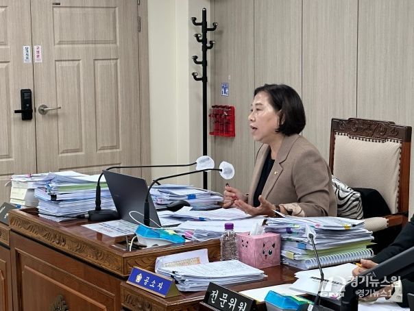 고양특례시의회 공소자 기획행정위원장