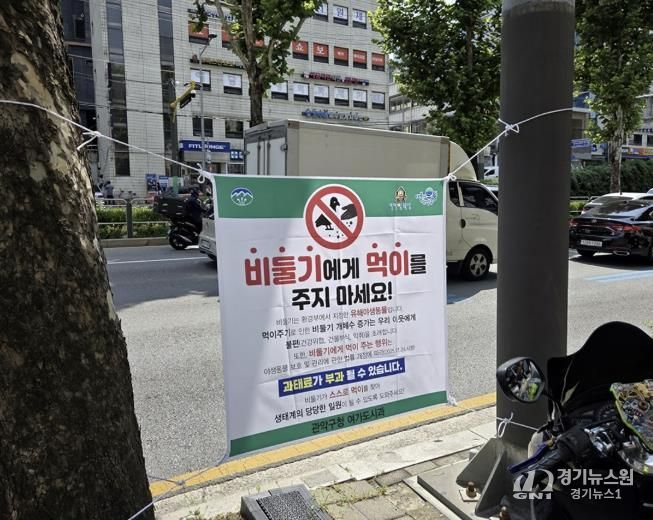 신림역 일대 남부순환로에 게첨된 비둘기 먹이주기 금지 안내문