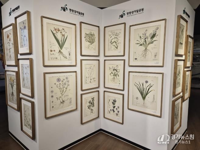 포천시, 한탄강의 아름다운 색채를 담은 압화 전시 개최