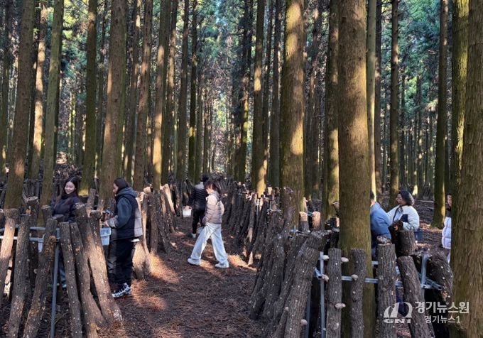 ‘버섯따기 체험 및 버섯장아찌 만들기’ 프로그램