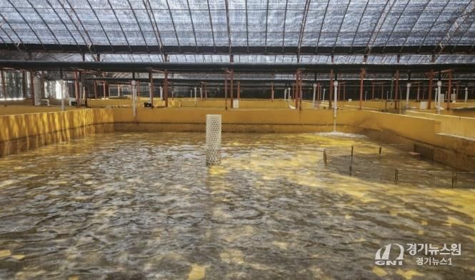 완도 광어 양식장