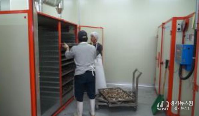 약용작물(백출) 건조