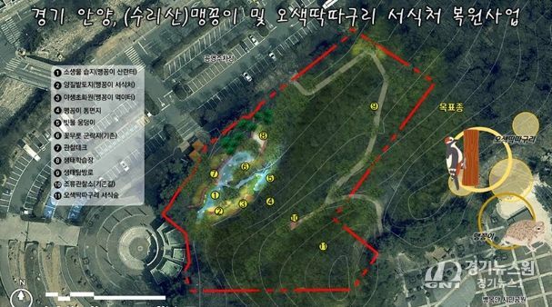 안양시, 병목안시민공원 맹꽁이・오색딱따구리 서식처 복원…국비 4.4억 확보