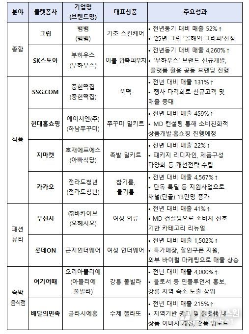 플랫폼사별 우수 사례