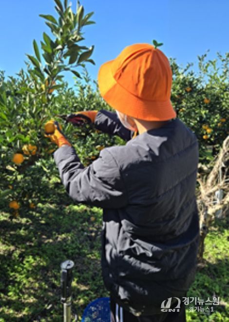 마음치유 프로그램