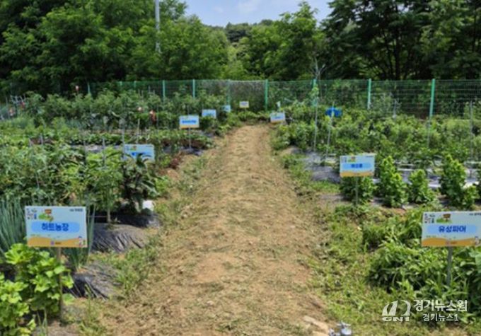 지난해 운영한 공동체 텃밭 사진