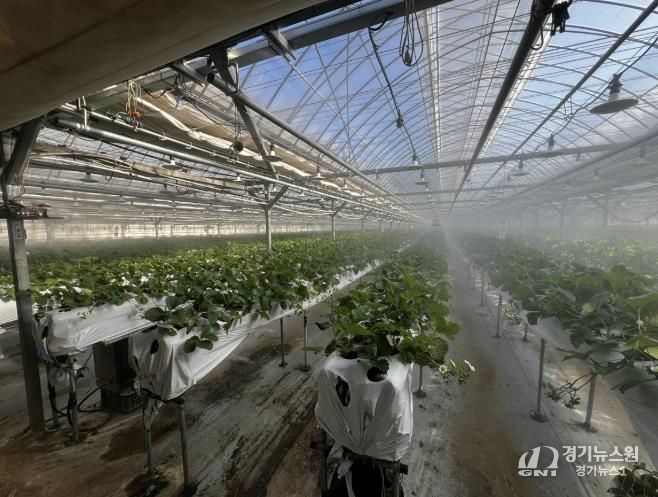 광주시, 선택형 맞춤 농정사업 추진…명품 농산물 육성 본격화