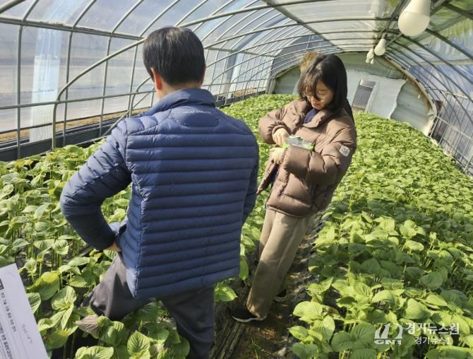 고양시 관계자가 진단키트를 활용해 과학 영농 기술지원을 하고 있다.