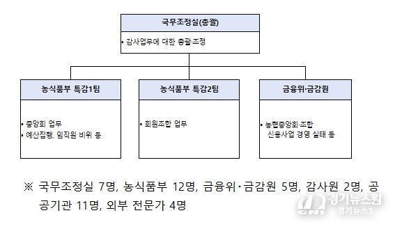 정부합동 특별감사반 구성 및 인원