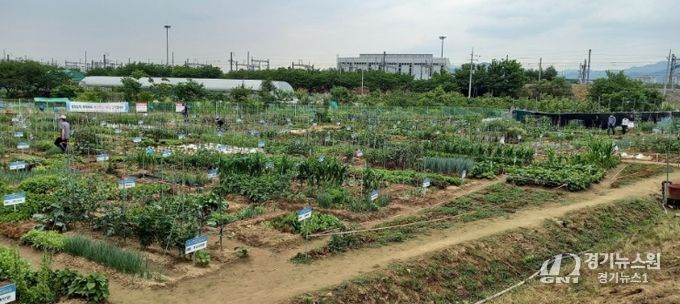 수성구 공영도시농업농장 전경
