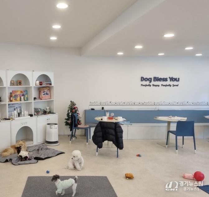 중랑구 지정 위탁업체 ‘디비유(독블레스유)’ 실내 모습