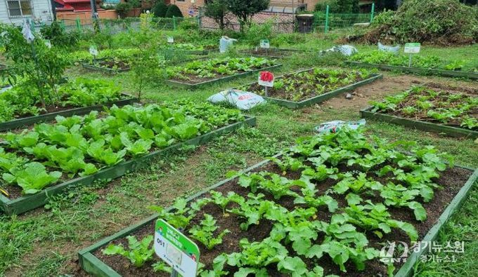 강북 도시농업 체험장 전경