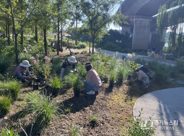 성동구 한강 시그니처 정원에서 가을철 보식 작업을 하고 있는 마을정원사들 모습