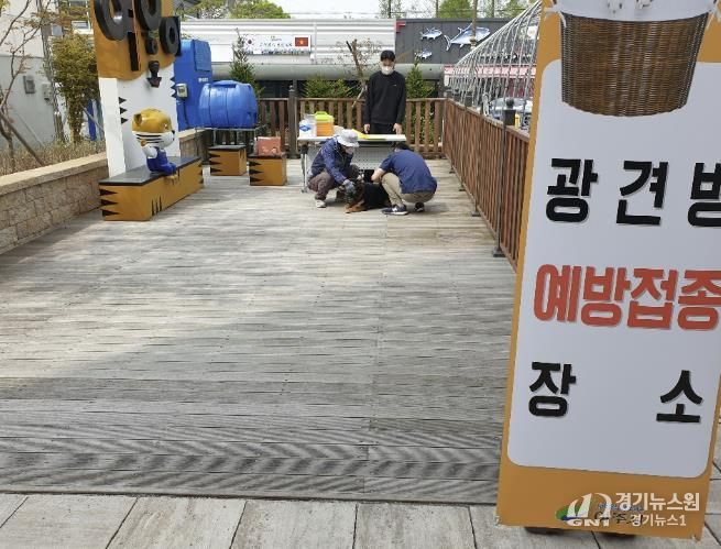 여주시, 상반기 광견병 무료 접종 실시