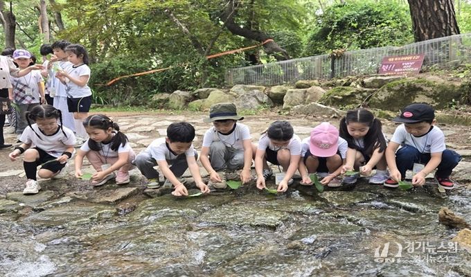 금천구가 2025년 진행한 숲해설 프로그램